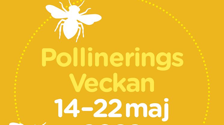 Pollineringsveckan lanserades 2018 av Pollinera Sverige som ett gemensamt verktyg för att sätta fokus på polinatörerna och deras livsvillkor.