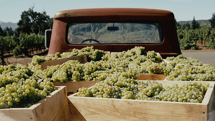 Fetzer Vineyards feirer 50 år med bærekraftig vinproduksjon i California