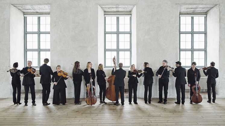 Den framgångsrika kammarorkestern Camerata Nordica har ett omfattande program klart inför nästa säsong. Foto Jonas Lindström studio.