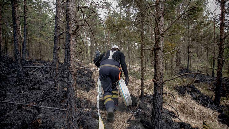 Förra sommaren rasade de mest omfattande skogsbränderna i Sverige på flera hundra år. Inför sommaren 2019 har MSB genomfört en mängd åtgärder för att Sverige ska stå bättre rustat att hantera skogsbränder.