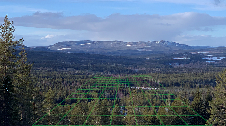Genom att utnyttja detaljerna i högupplösta laserdata, och därmed ta större hänsyn till skogens variation, kan skogsägare uppfylla sina mål bättre och även öka värden som kolbindning, biologisk mångfald och avverkningsvolym. Foto: Emma Sandström