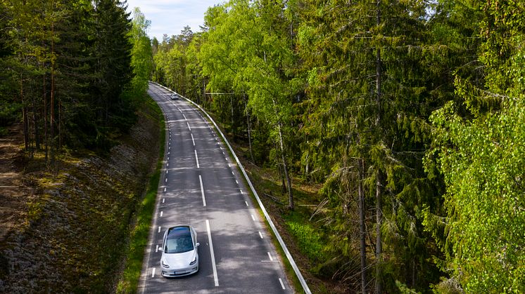 Billigt skogsavfall kan användas för att tillverka superkondensatorer. Foto: Johnér bildbyrå AB