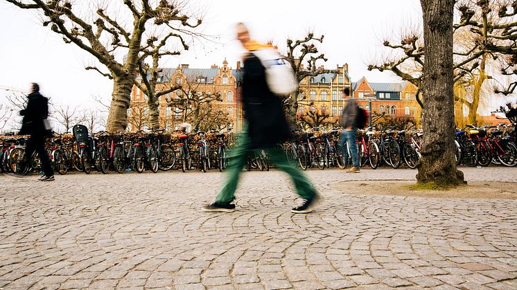 Sveland Djurförsäkringar flyttar till Lund.Fotograf: Christiaan Dirksen