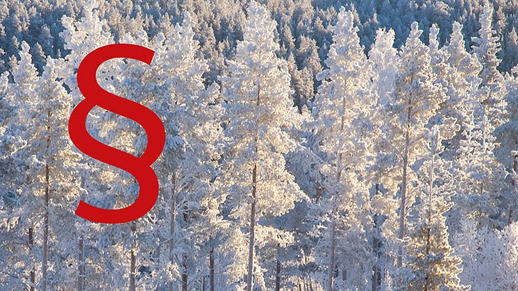 Myndigheterna kring skogen – följ sammankomsten online!