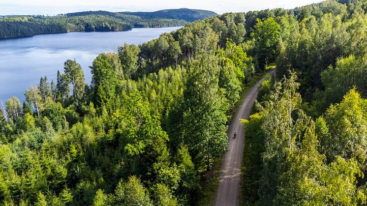 Dalsland har utviklet 11 nye sykkelruter for gravelsykling. Foto: Jessica de Korte/Westsweden.com