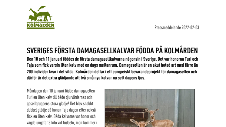 Sveriges första damagasellkalvar födda på Kolmården.pdf