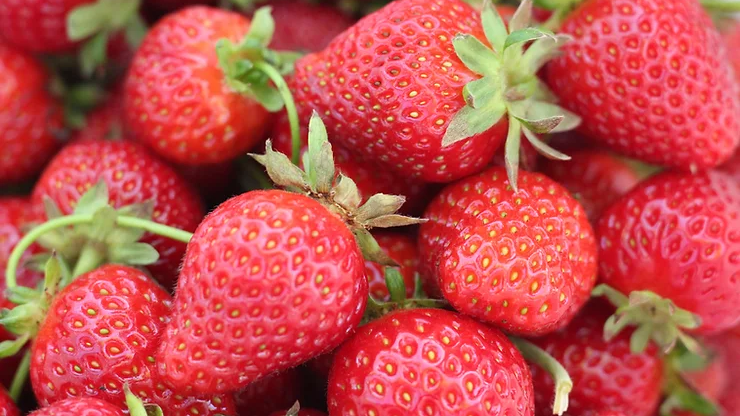 Smarta tips för att minska svinn och öka kvaliteten på jordgubbarna