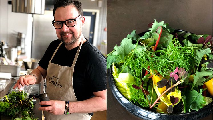 Magnus Lindström, mångkunnig matkreatör, Årets kock-vinnare och ägare av swedish taste, firar örterna varje dag året om.