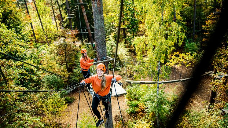 Högtflygande Ängelholmare i Hembygdsparkens trädkronor.