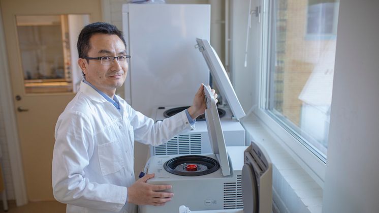 Yaowen Wu, professor of biochemistry at Umeå University, Sweden, has been awardes the prestigious Göran Gustafsson Prize in molecular biology.