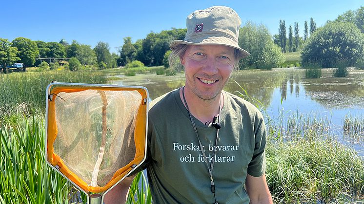 Johannes Bergsten, förste intendent på Naturhistoriska riksmuseet, har i flera filmer tagit reda på vilka insekter och djur som finns i dammen i Bergianska trädgården.