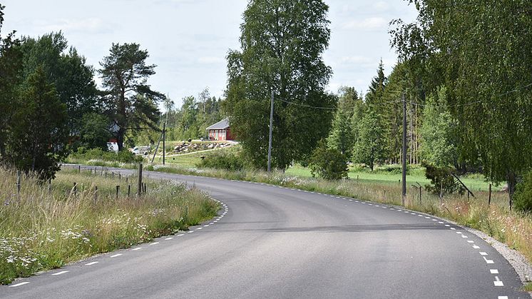 Vägrenar kan vara mycket artrika, men de kan inte ersätta fina ängs- och betesmarker. Foto: Juliana Dániel Ferreira