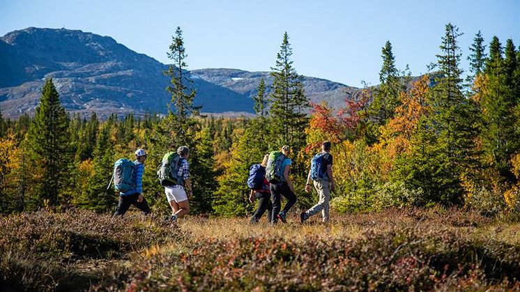 Storsatsning på nattåg till Åre i höst