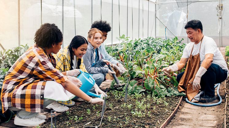 Die Dr. Frank Sprachen und Reisen GmbH (DFSR) startet gemeinsam mit ihrer Muttergesellschaft der Educatius Group AB den Wettbewerb um den Community Impact Fund, um Jugendliche weltweit zu stärken