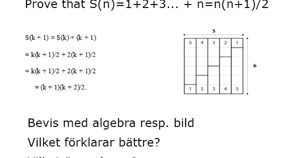 Toppforskare diskuterar skönhet och förklaring i matematik