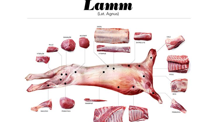 Styckningsschema för restaurang - lamm ej senaste version