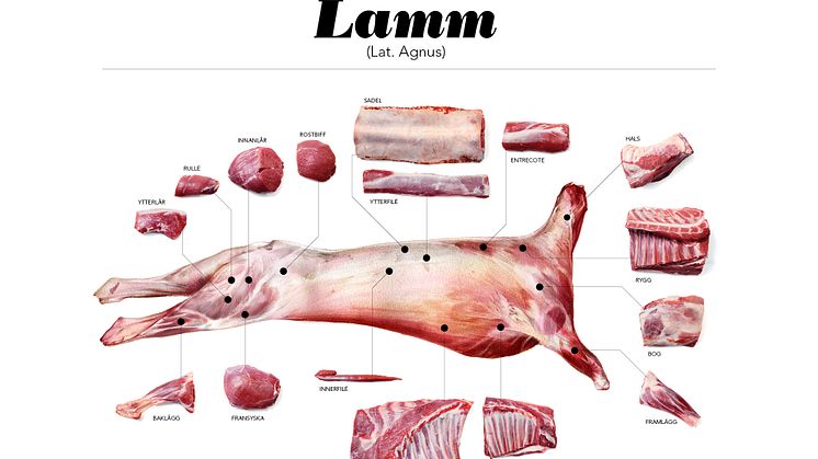 Svenskt Kött efterlyser styckdetaljer till nya styckningsscheman