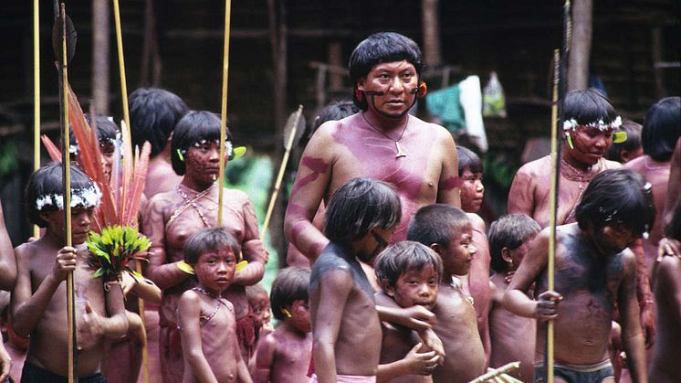 Yanomami stammen er en af de stammer, der angribes af kvægfarmere og andre indtrængere, og som nu også trues af coronavirus. Foto: Survival International