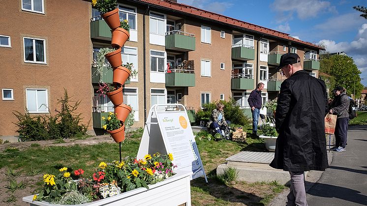 Gröna Solberga bjuder in till höstsalong