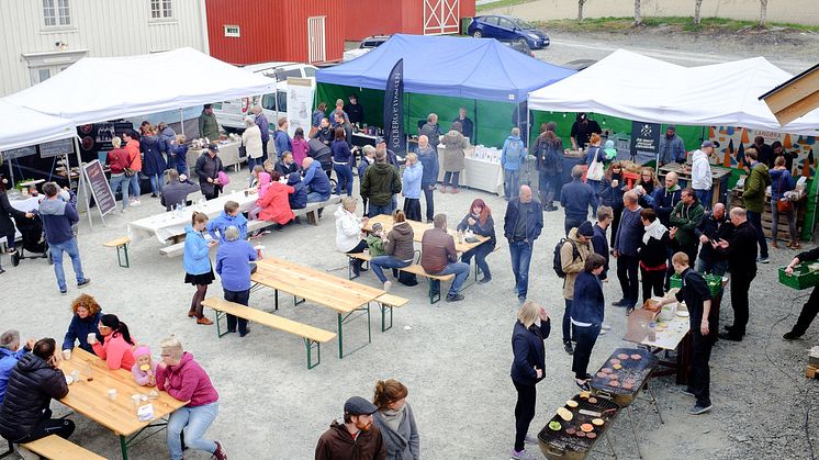 Åpen dag på Hjelseng 2017