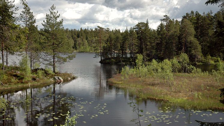 Foto: Örebro kommun/Fredrik Kellén