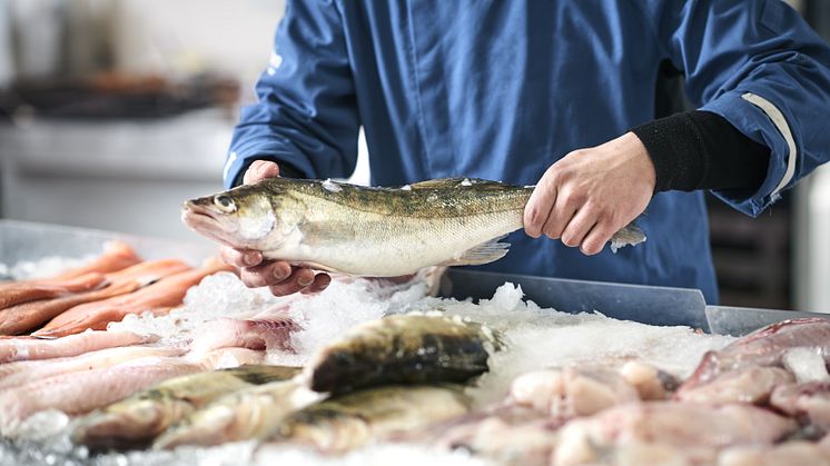 Hvorfor købe fisk hos en fiskehandler?