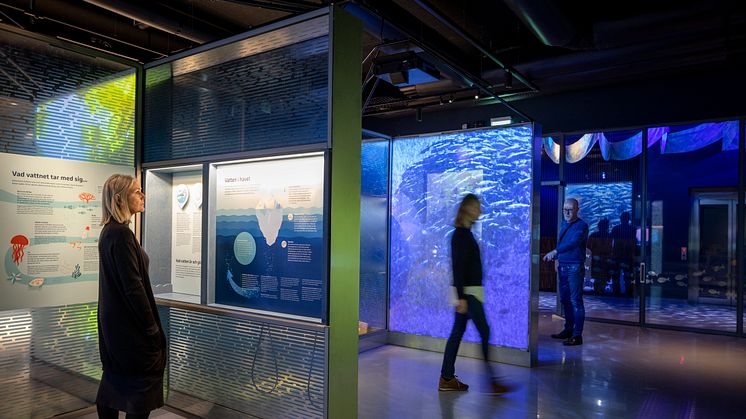 Utställningen Vattenplaneten i Akvariet