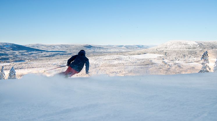 Stöten kammade hem tre utmärkelser vid Freerides omröstning under årets säsong.