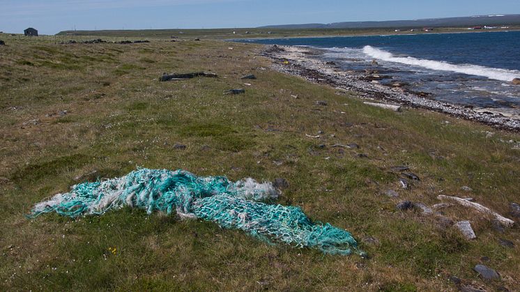 Marine litter, fishing net