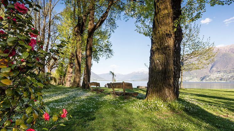 Parco delle Camelie © Alessio Pizzicannella