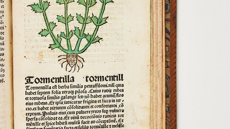 Herbarius Patavie – flora från Passau