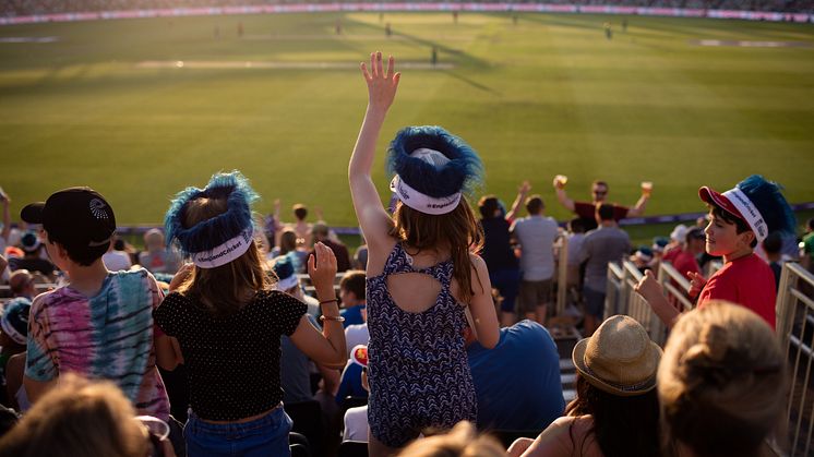 ECB recruits business, entertainment and cricket expertise to help build new T20 competition