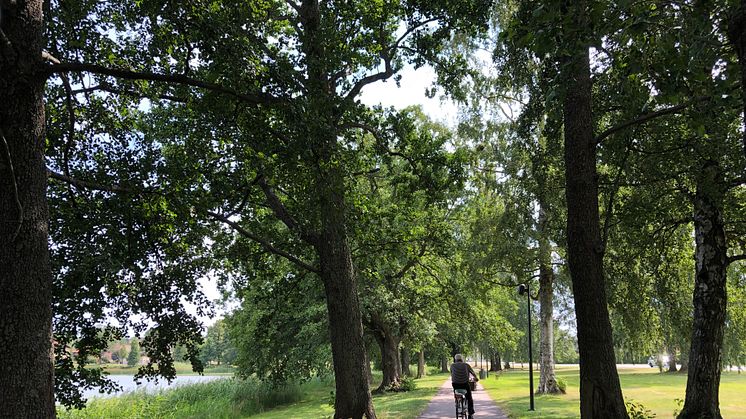 Sundstaparken var en av parkerna som Karlstadsborna kunde tycka till om. 