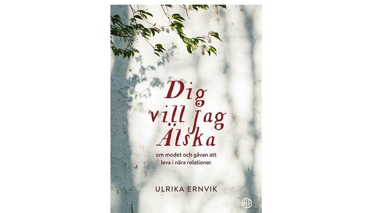 Dig vill jag älska_omslag