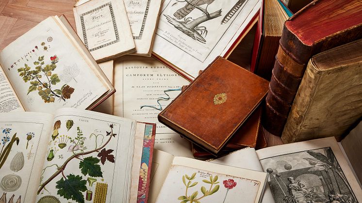 Parts of the Botanical Library gathered by Swedish economist Olle Wallin.