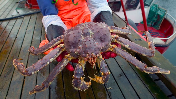 Photo: Norwegian Seafood Council