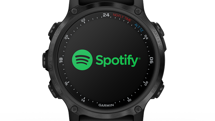 Garmin Descent Mk2S