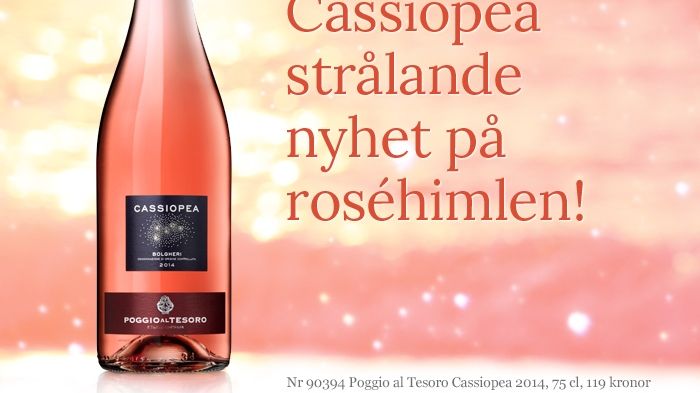 Cassiopea – strålande ny stjärna på roséhimlen!