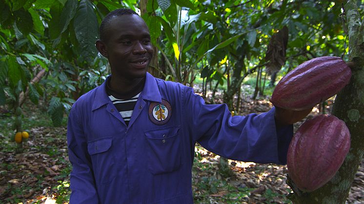 Mondelēz International Reports Strong Progress in Cocoa Life Sustainability Program 