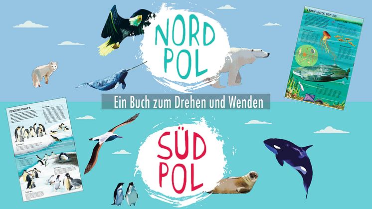 Nordpol - Südpol: Ein Buch zum Drehen und Wenden