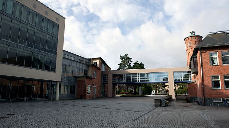 Den pågående pandemin gör det omöjligt att ses på campus - istället arrangeras de planerade forskningskonferenserna digitalt.