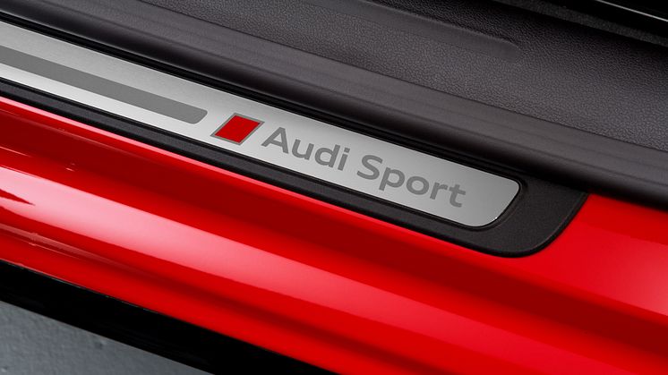 A5 DTM selection - Audi Sport logo på indstigningspanel