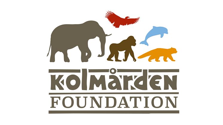 Rekordsumma till Kolmården Foundation - nu ska fler bevarandeprojekt stöttas