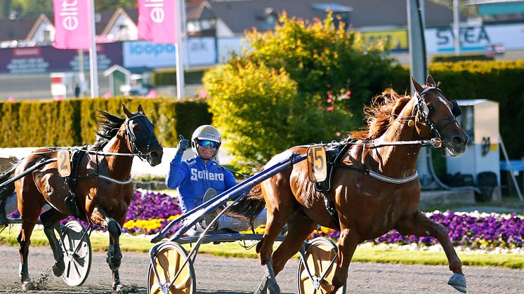 Moni Viking och Björn Goop vann Harper Hanovers Lopp 2020. Foto: TR Bild