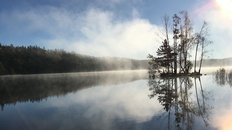 Bild från Finnsjön, ytvattentäkt i Härryda kommun.