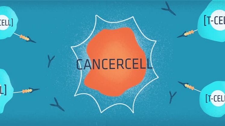 Immunterapi för att bekämpa cancer, video 