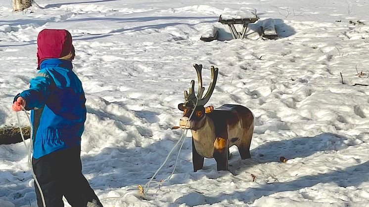 Småprats temadag fokuserar på att stärka de samiska språken. Foto: Regionbibliotek Västerbotten