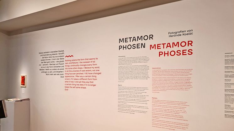 Ausstellung "Metamorphosen" von Herlinde Koelbl - Foto: Elli Flint