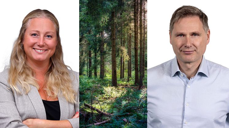 FLAG – guiden om klimatmål för gröna sektorn är nu lanserad