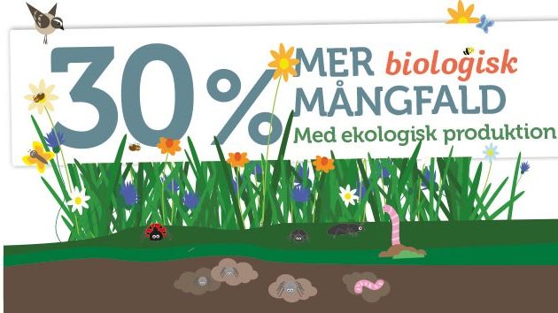 30 procent mer biologisk mångfald på ekogårdar